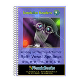 Dandelion Readers Split Vowel Spellings Set Workbook