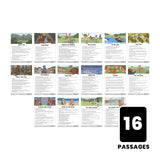 iDeaL Stage 1 Decodable Passages Set 3