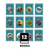 Magic Belt Series