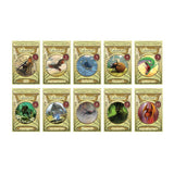 Talisman Card Games - Boxes 1-10