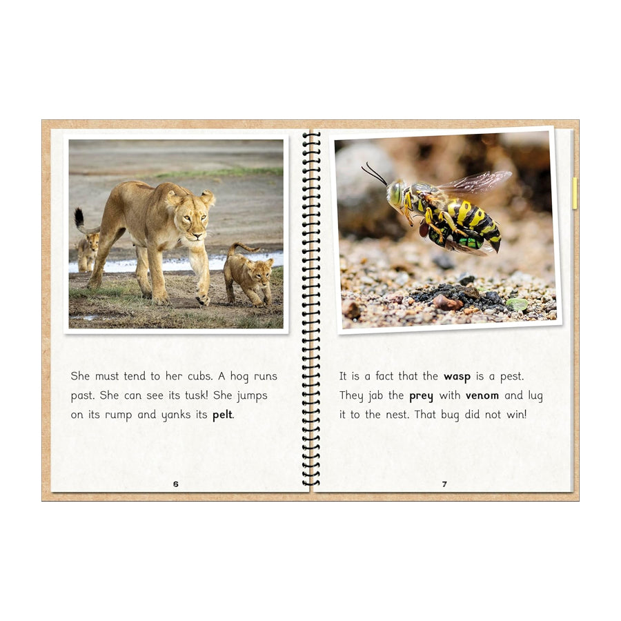 Real Fact File The Fact Files 1 β Learning MATTERS