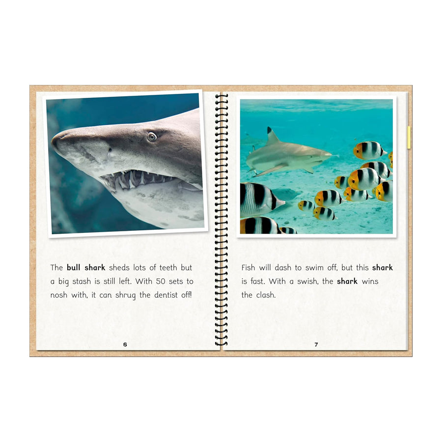 Real Fact File The Fact Files 1 β Learning MATTERS