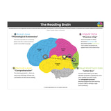 The Reading Brain A3 Poster