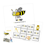 Wasp - irregular words resource bundle